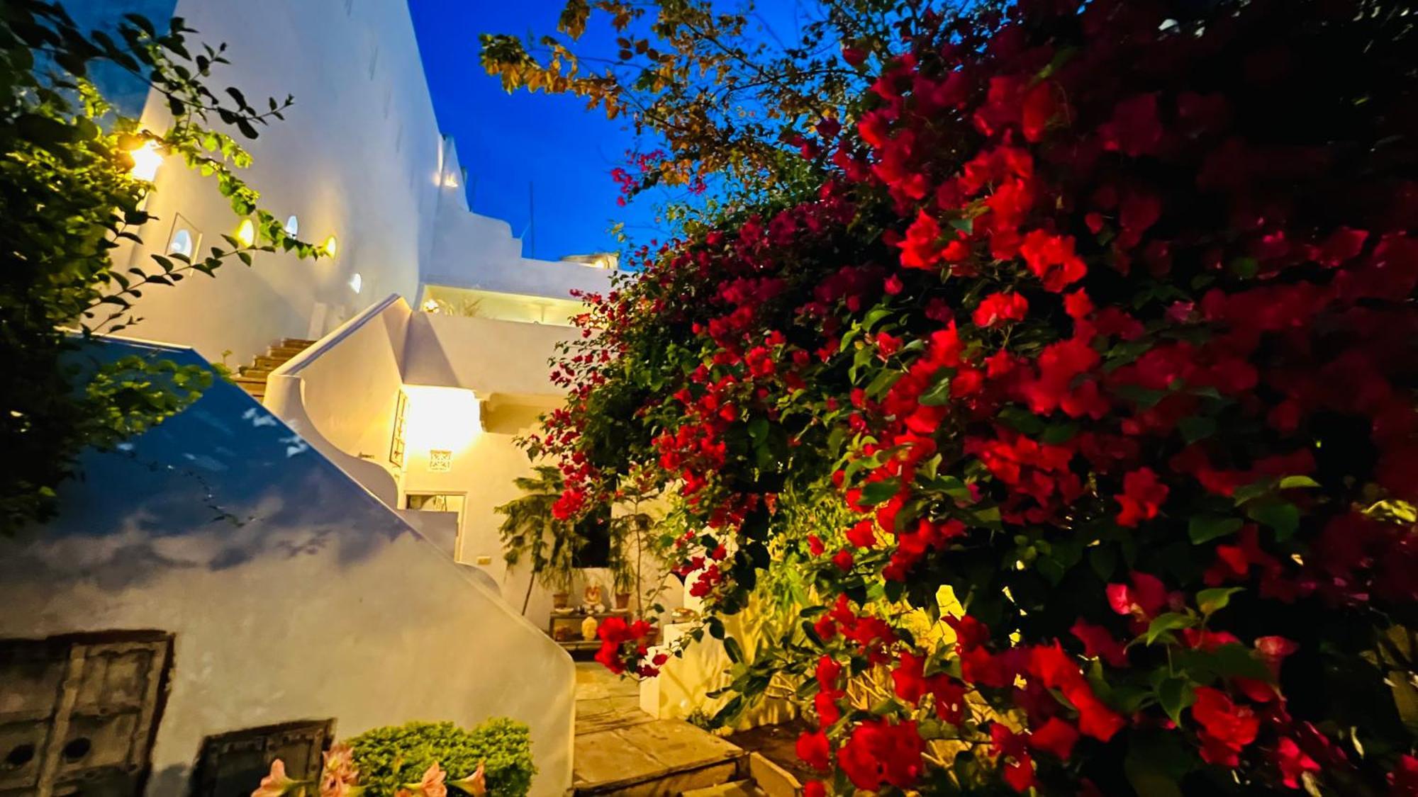 Mosaics Guest House 斋浦尔 外观 照片